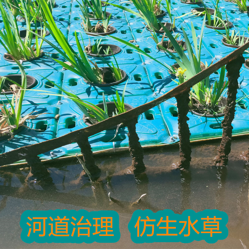 仿生水草.jpg