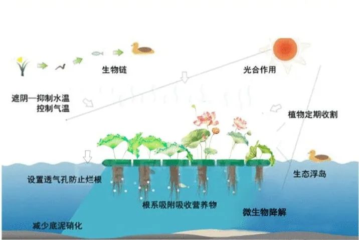 微信图片_20220627213930.jpg