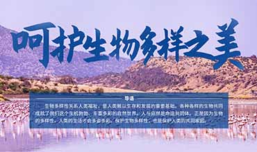 百科首页小方块-200*100