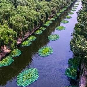 人工生态浮床生态浮岛人工浮床水上种植生态浮床水上种菜净化水质