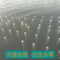 人工载体黑臭水体修复仿生水草河道治理