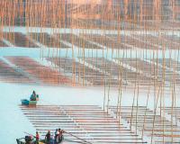 海岛治水记（美丽中国）