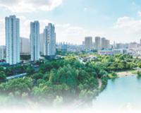 因水而兴 向水而为——江苏姜堰多渠道系统治理“大中小微”水体