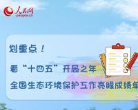 “十四五”开局之年，全国生态环境保护工作亮眼成绩单