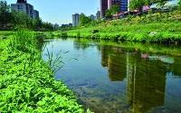 北京凉水河的今昔对比 十年治理路再现水清岸绿