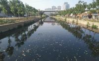 宝鸡市：“三大法宝”深入治理黑臭水体