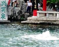 从泉水复涌看用水之变——多地泉域保护治理取得积极成效