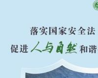 生态安全主题宣传海报——4·15全民国家安全教育日 