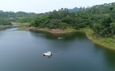 水生态系统该如何维护？| 《上海市河道水生生物管理维护手册》